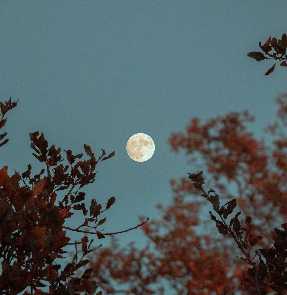 Tea & The Moon Phases