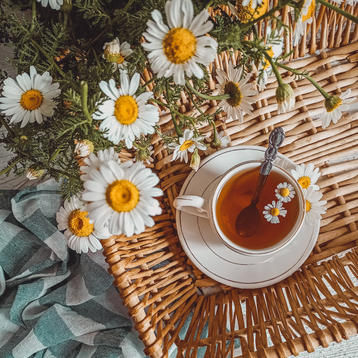 healing-tea-remedies-health-chamomile